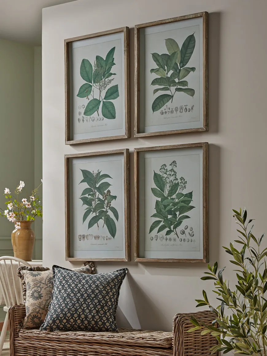 Four Foliage Framed Prints