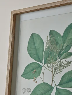 Four Foliage Framed Prints