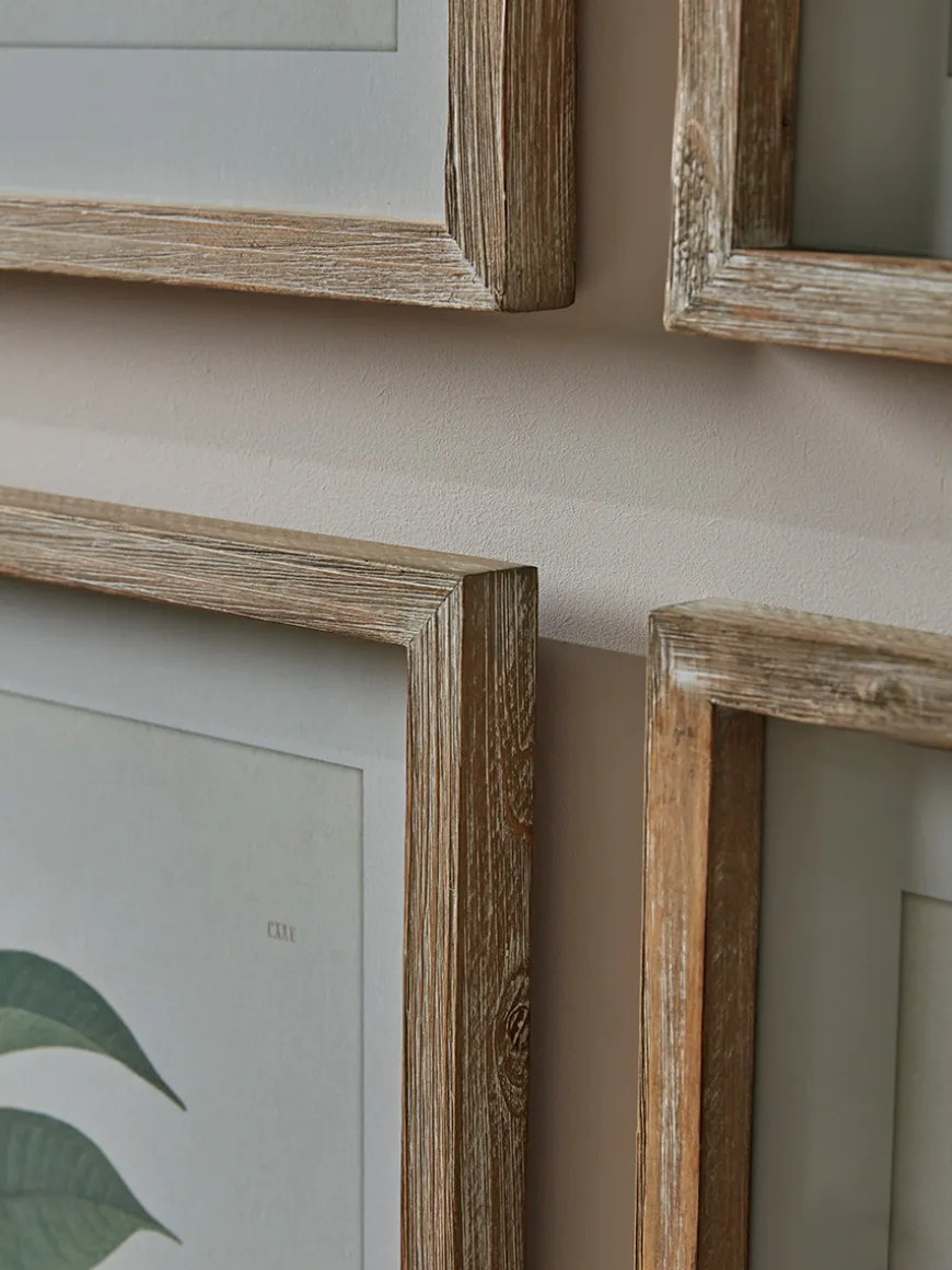 Four Foliage Framed Prints