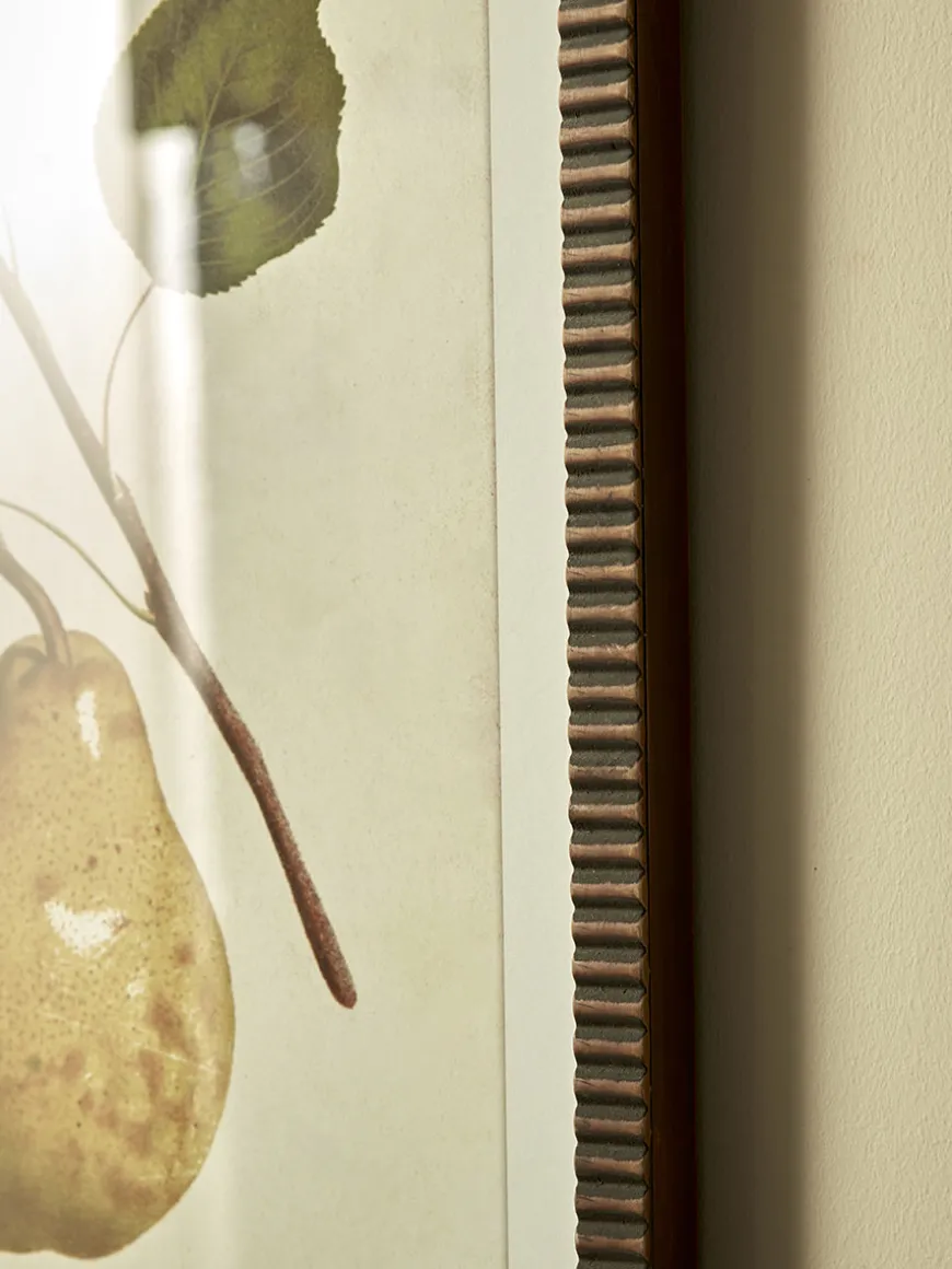 Four Pear Framed Prints