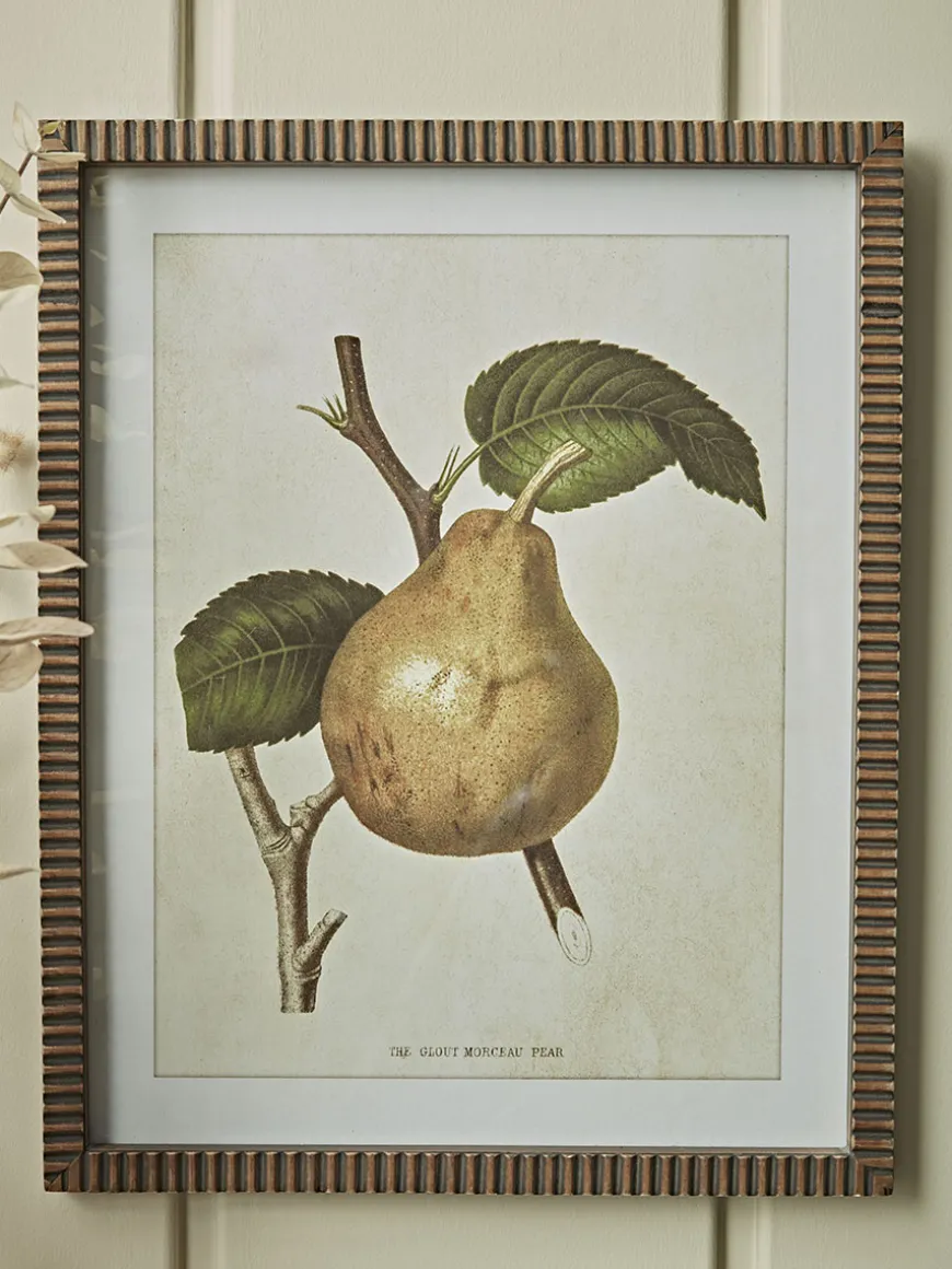 Four Pear Framed Prints