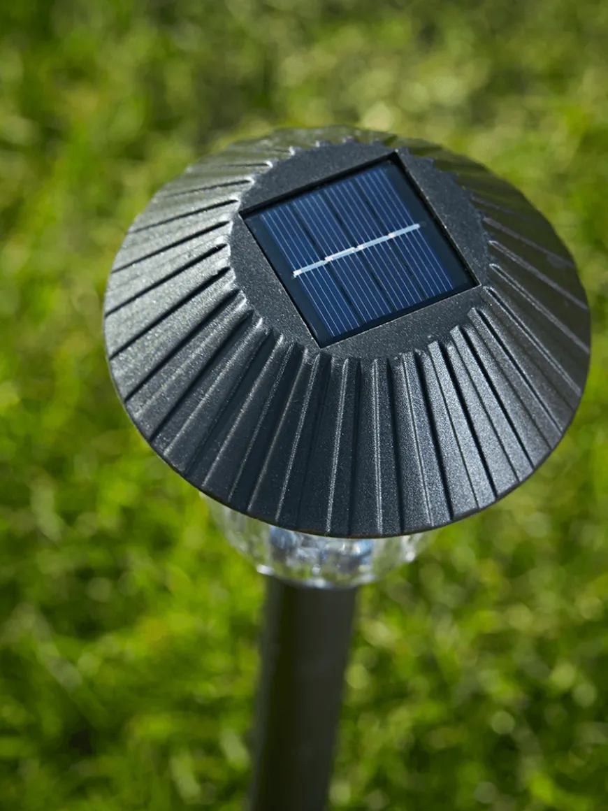 Four Solar Fluted Stake Lights