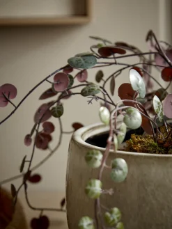 Glazed Footed Planter