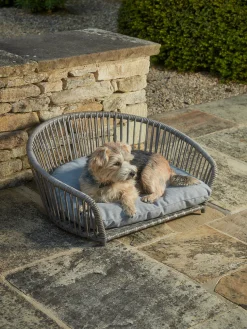Indoor Outdoor Winifred Petbed