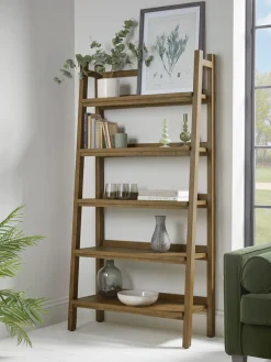 Ladder Bookshelf