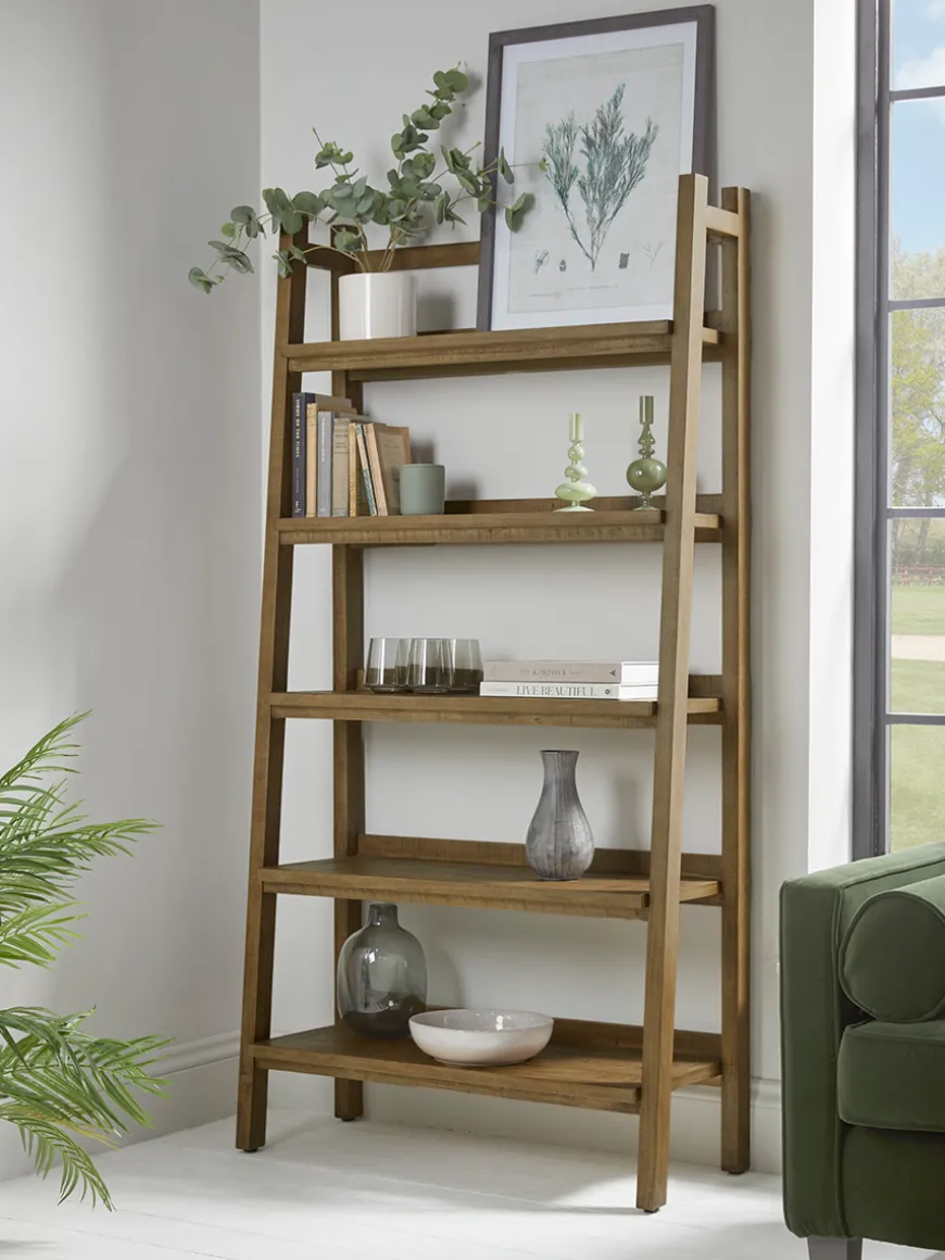 Ladder Bookshelf