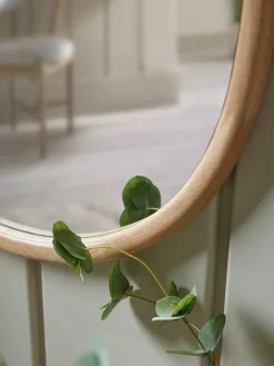 Rae Mirror