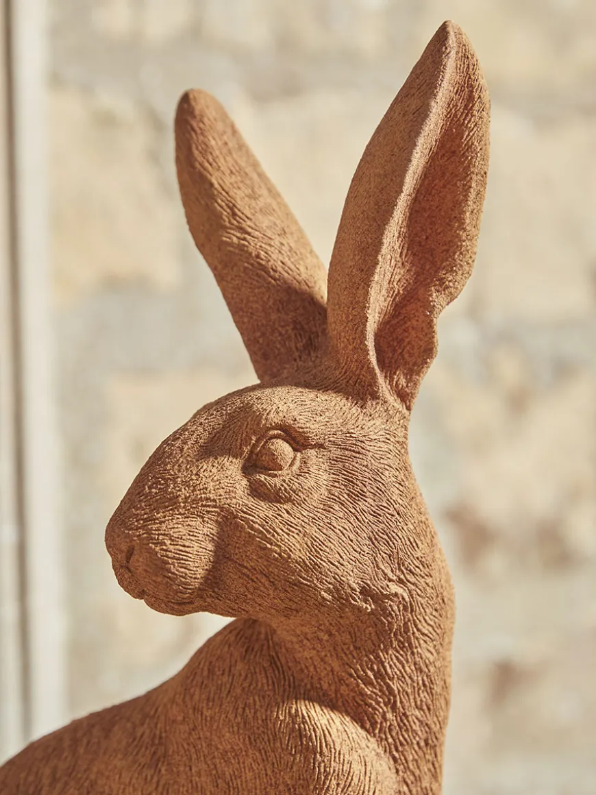 Rusty Hare