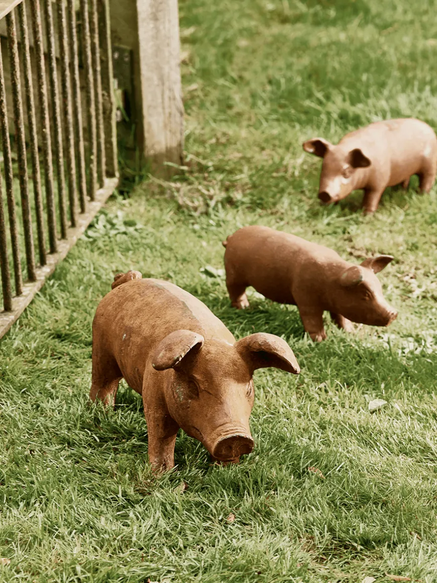 Rusty Pigs