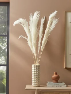 Six Pampas Grass Stems - Cream