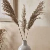 Six Pampas Grass Stems - Natural
