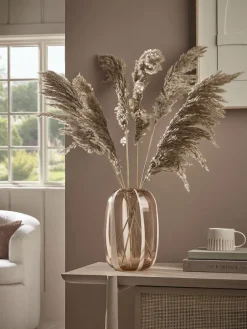 Six Pampas Grass Stems - Natural