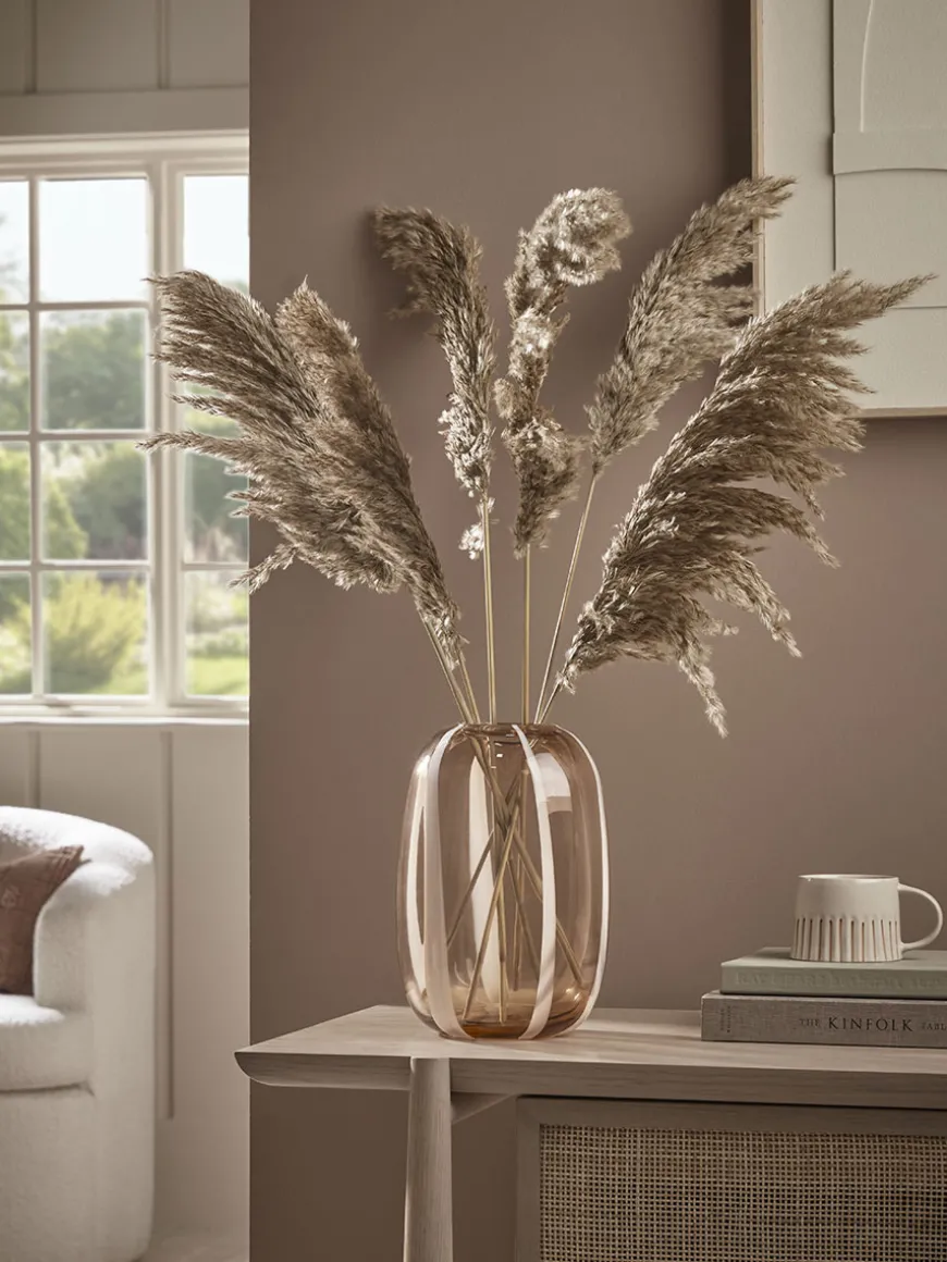 Six Pampas Grass Stems - Natural