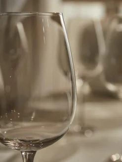 Six Smoked Wine Glasses
