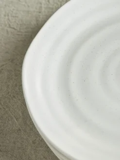 Speckled Dinnerware