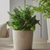 Speckled Glazed Planter & Saucer - Small