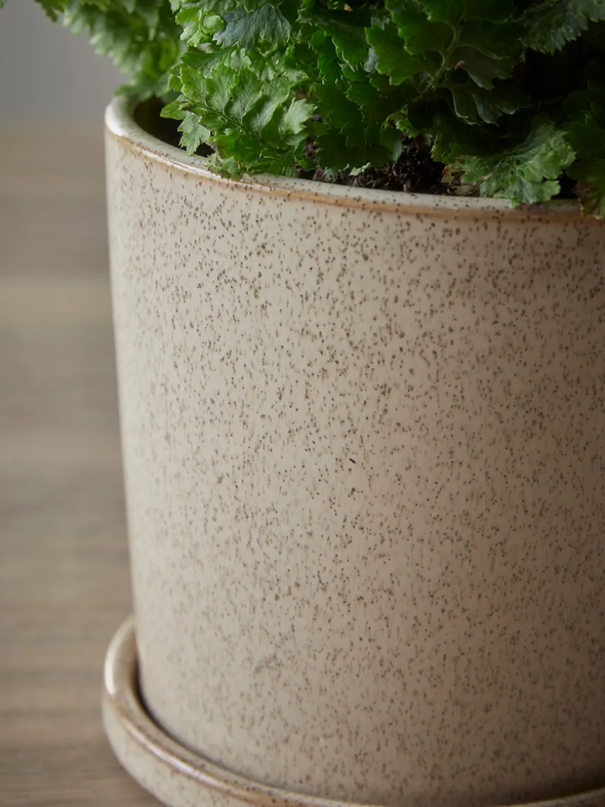 Speckled Glazed Planter & Saucer - Small