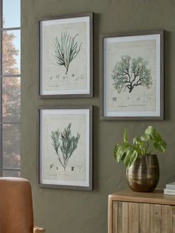 Three Botanical Wall Art Prints