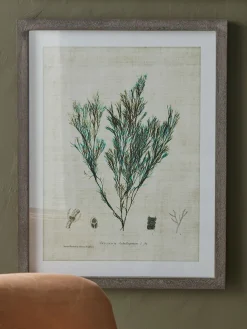 Three Botanical Wall Art Prints