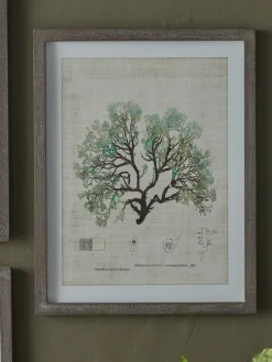 Three Botanical Wall Art Prints