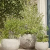 Three Bowl Planters - Sand