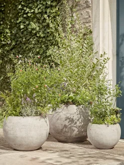 Three Bowl Planters - Sand