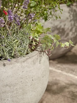 Three Bowl Planters - Sand