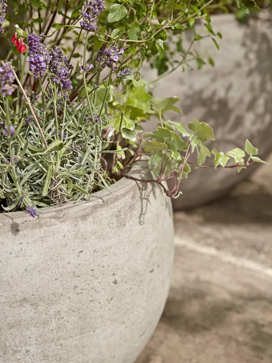 Three Bowl Planters - Sand