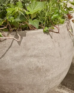 Three Bowl Planters - Sand