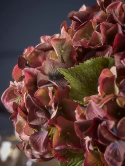 Three Burgundy Hydrangea Stems
