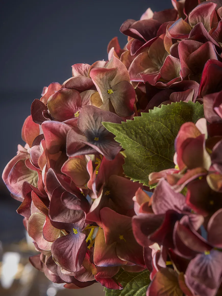 Three Burgundy Hydrangea Stems