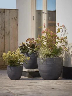 Three Celano Planters