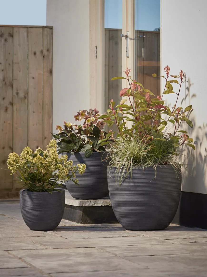Three Celano Planters