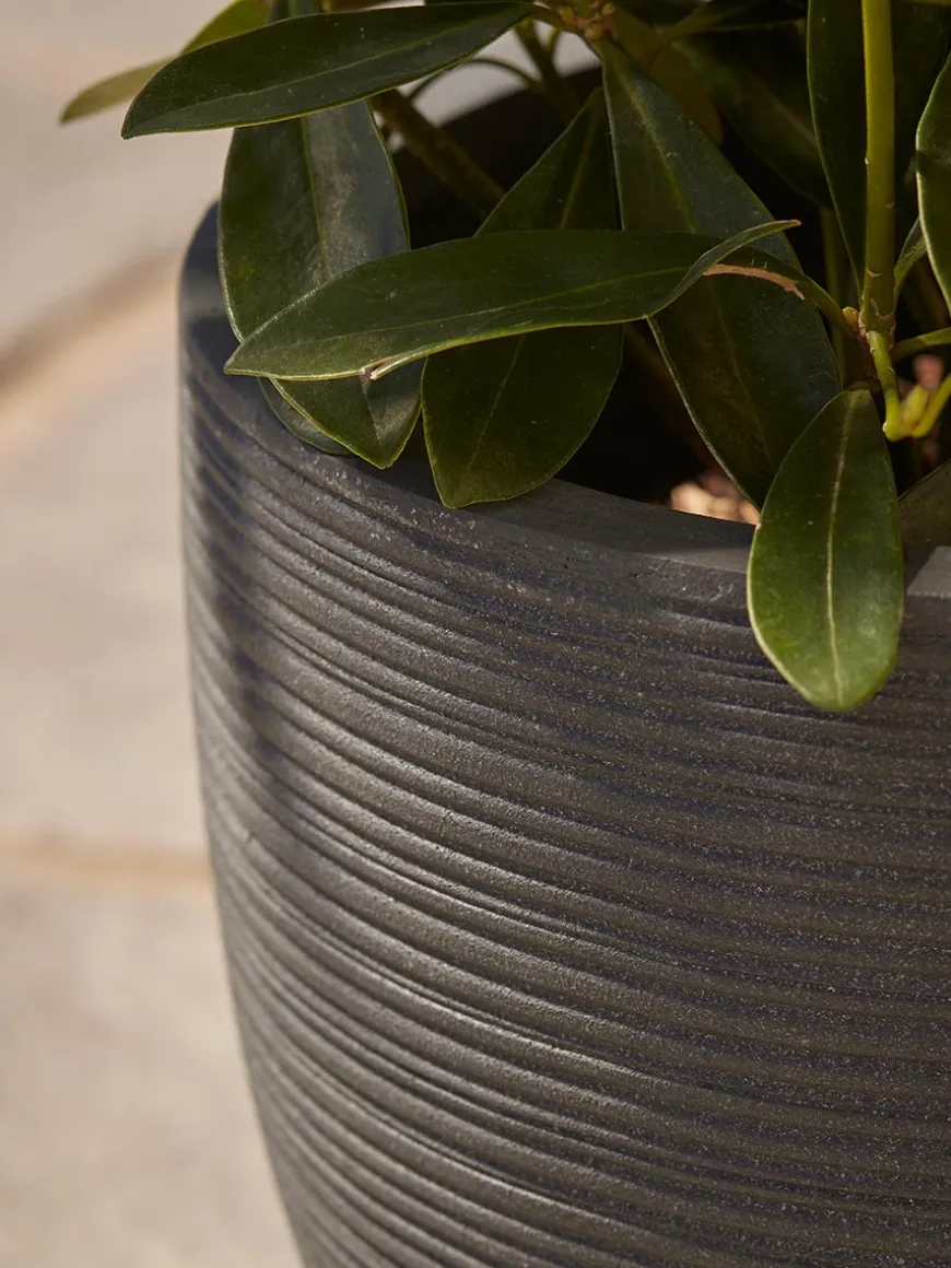 Three Celano Planters