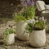 Three Deco Planters