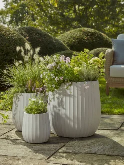Three Dove Grey Fluted Planters - Large