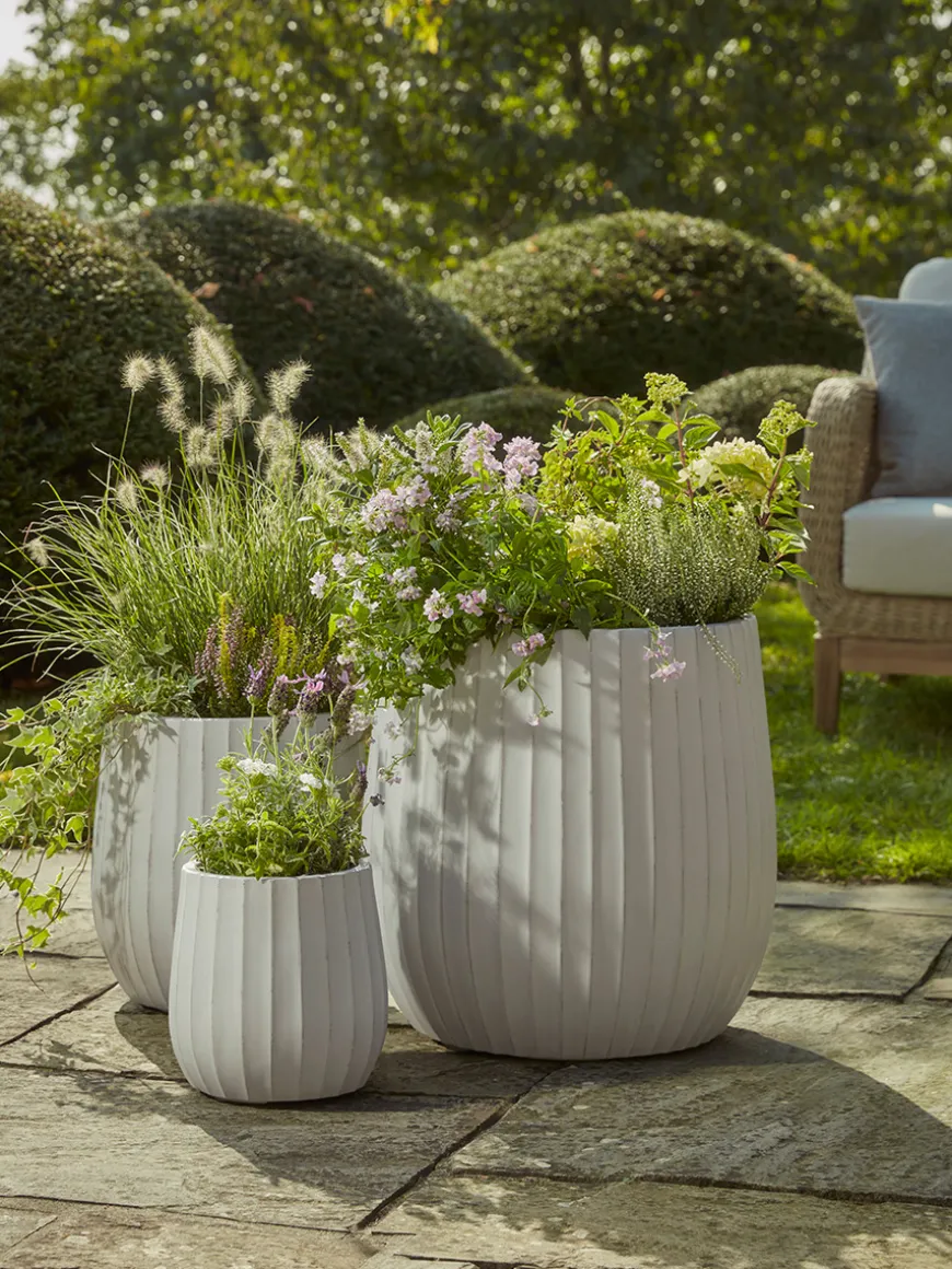 Three Dove Grey Fluted Planters - Large