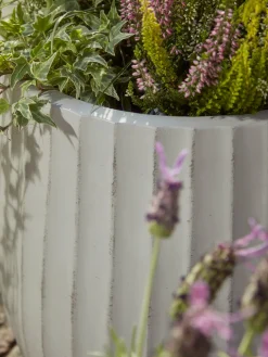 Three Dove Grey Fluted Planters - Large
