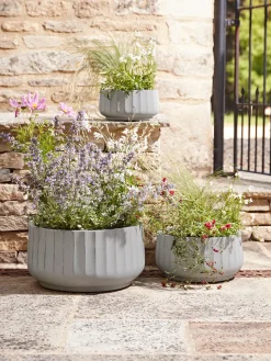 Three Dove Grey Fluted Planters - Small