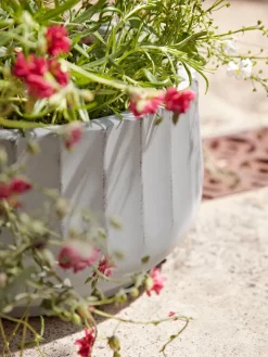 Three Dove Grey Fluted Planters - Small