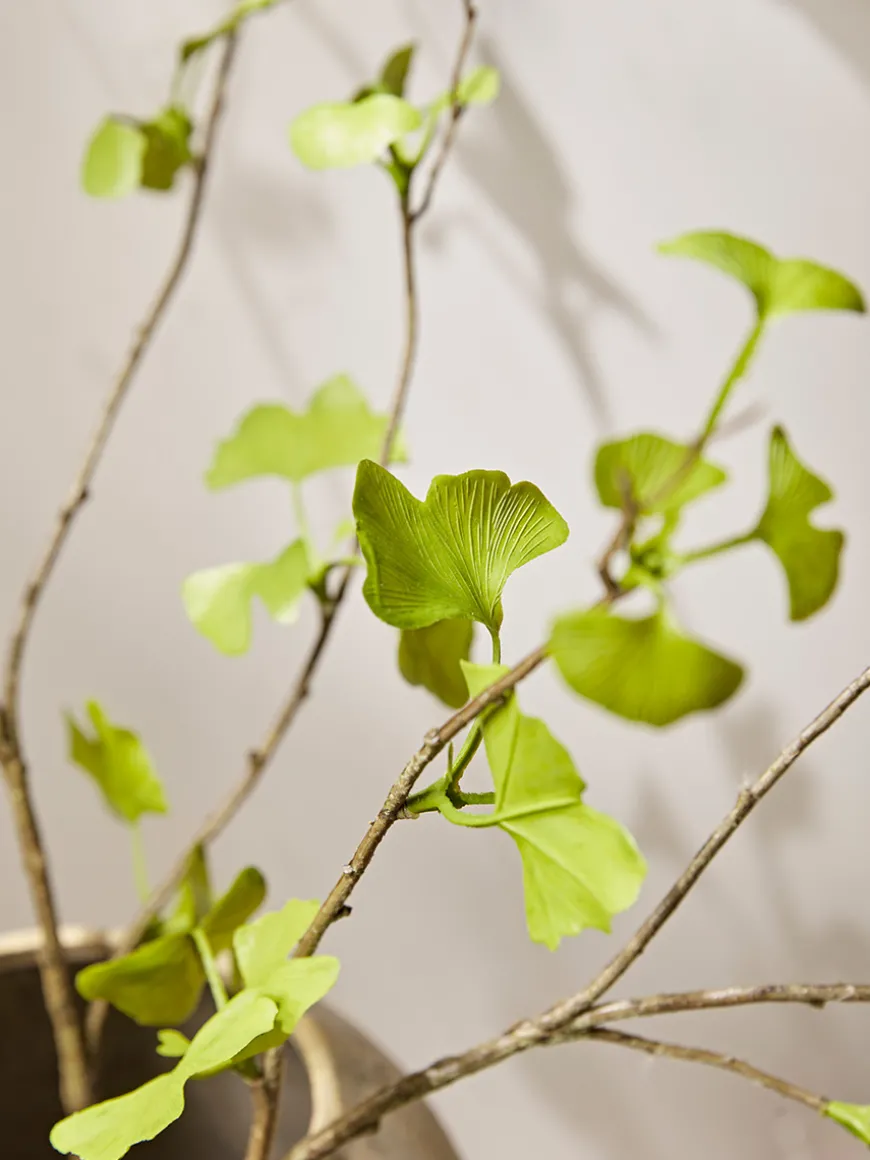 Three Faux Gingko Leaf Sprays