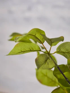Three Faux Leaf Sprays - Green