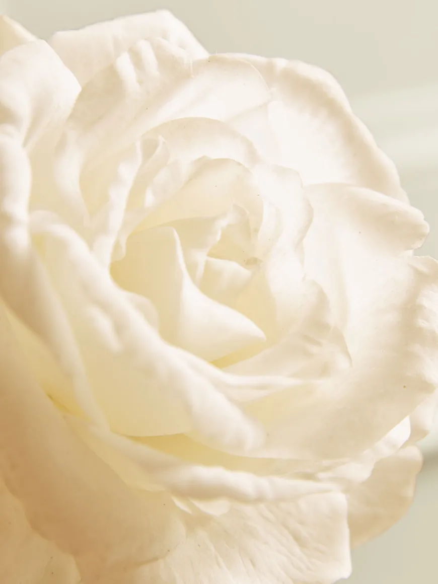Three Faux Rose Stems - Soft Peach