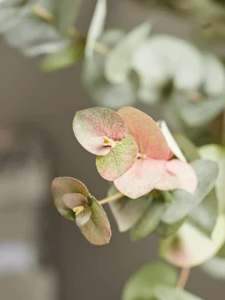 Three Faux Rounded Eucalyptus Sprays