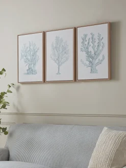 Three Framed Coral Canvases