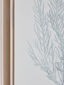 Three Framed Coral Canvases