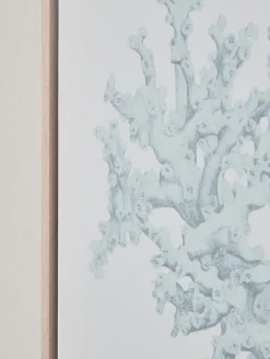 Three Framed Coral Canvases