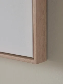 Three Framed Coral Canvases