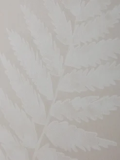Three Framed Fern Canvases