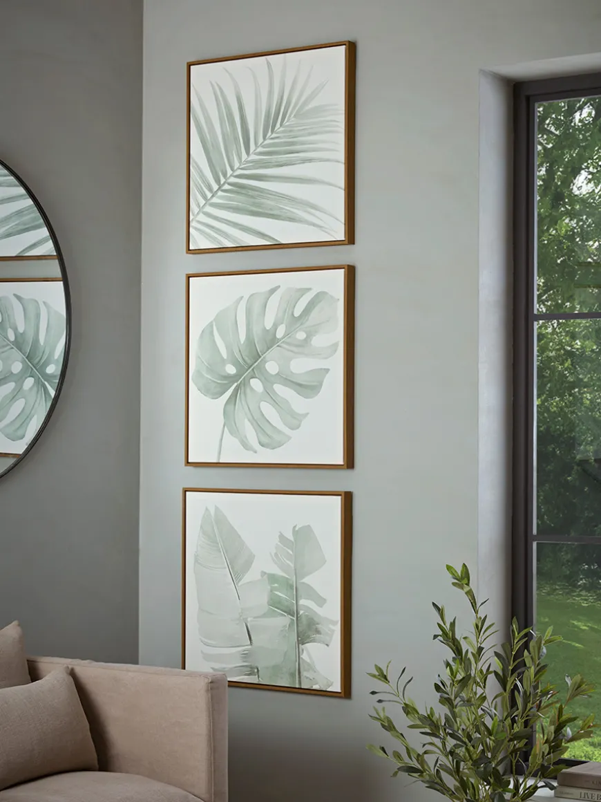 Three Framed Leaf Prints